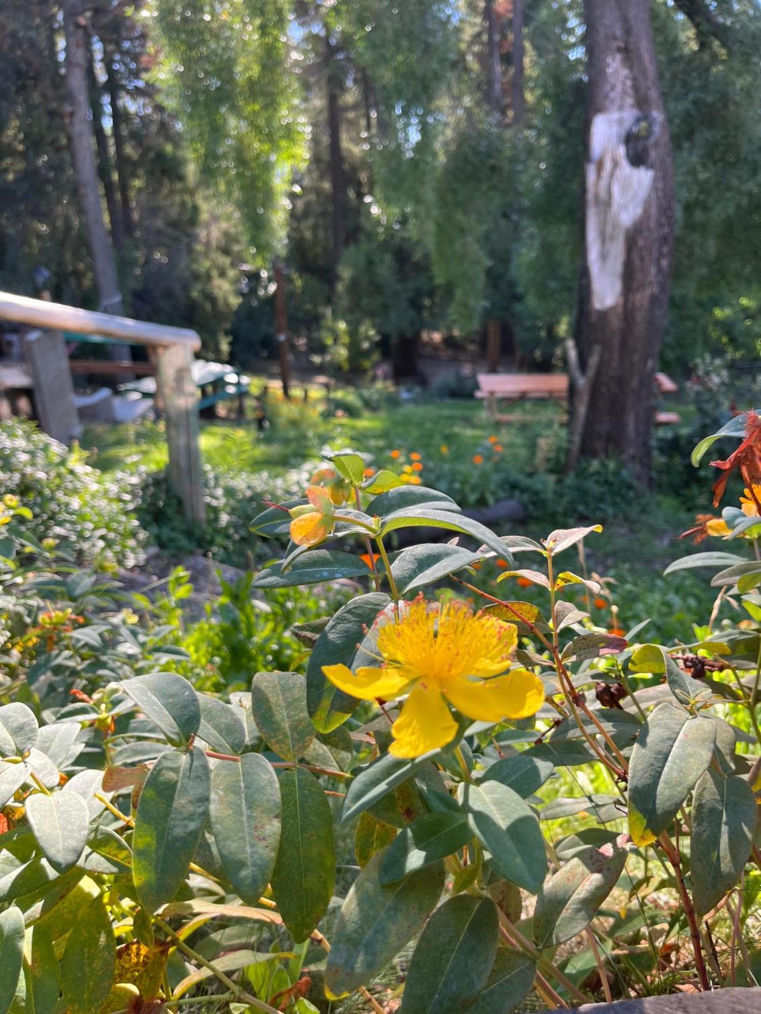 Hostel El Mirador El Bolsón Εξωτερικό φωτογραφία