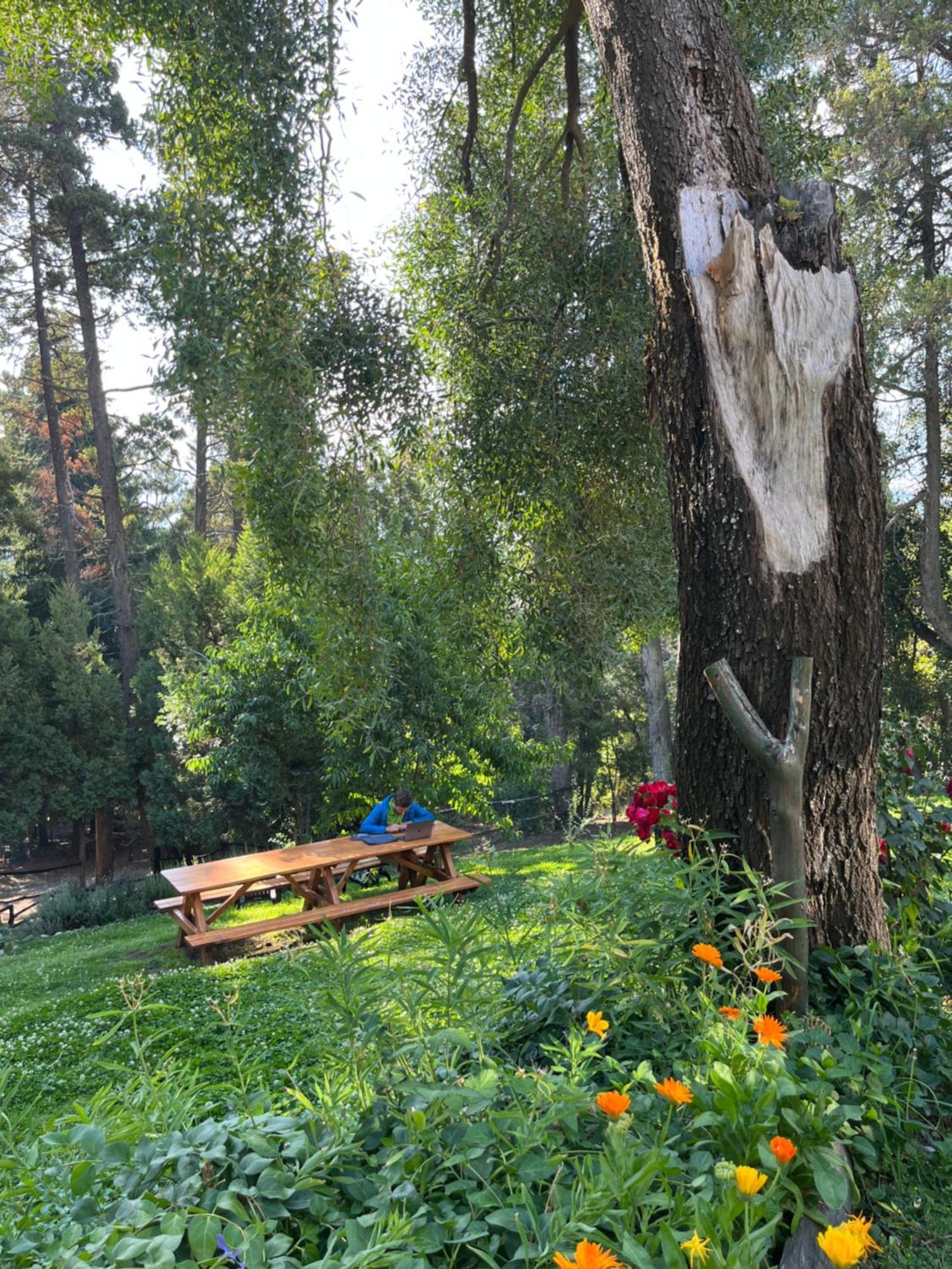 Hostel El Mirador El Bolsón Εξωτερικό φωτογραφία